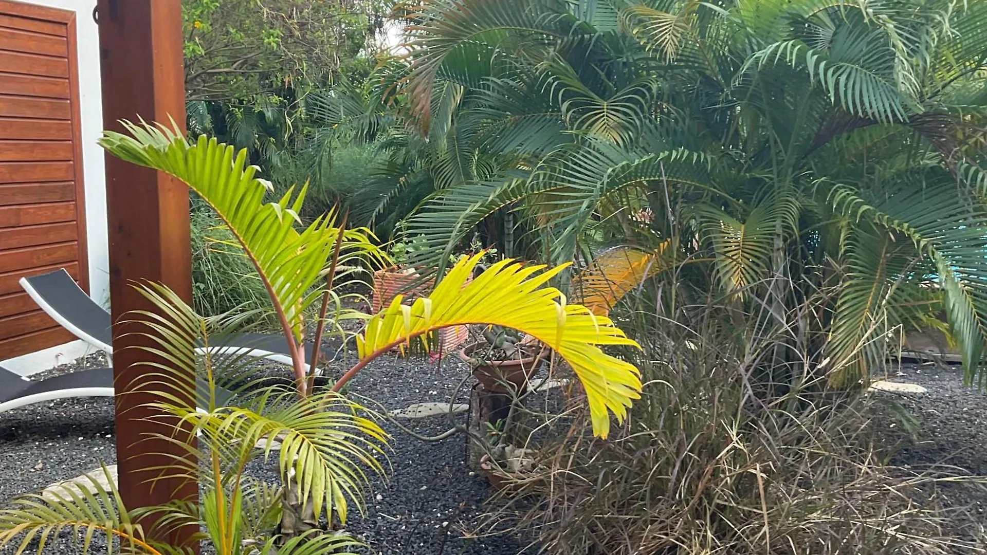 Villa La Marguerite Le Moule Guadalupa
